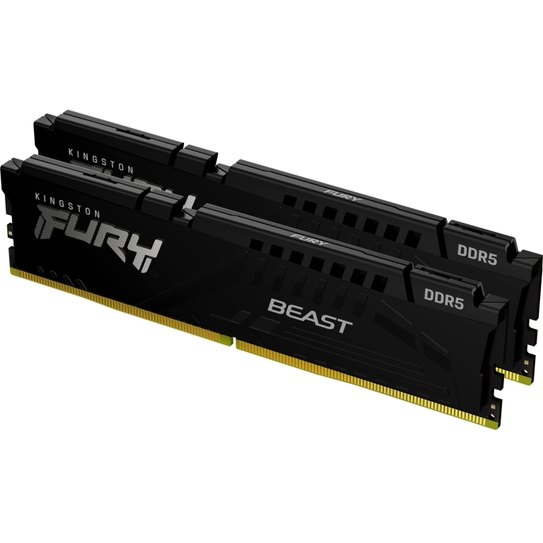 Kingston Fury Beast