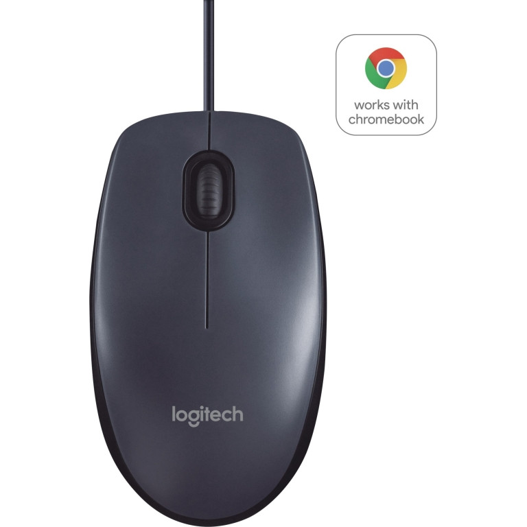 Logitech B100