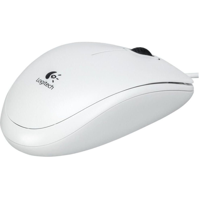 Logitech B100
