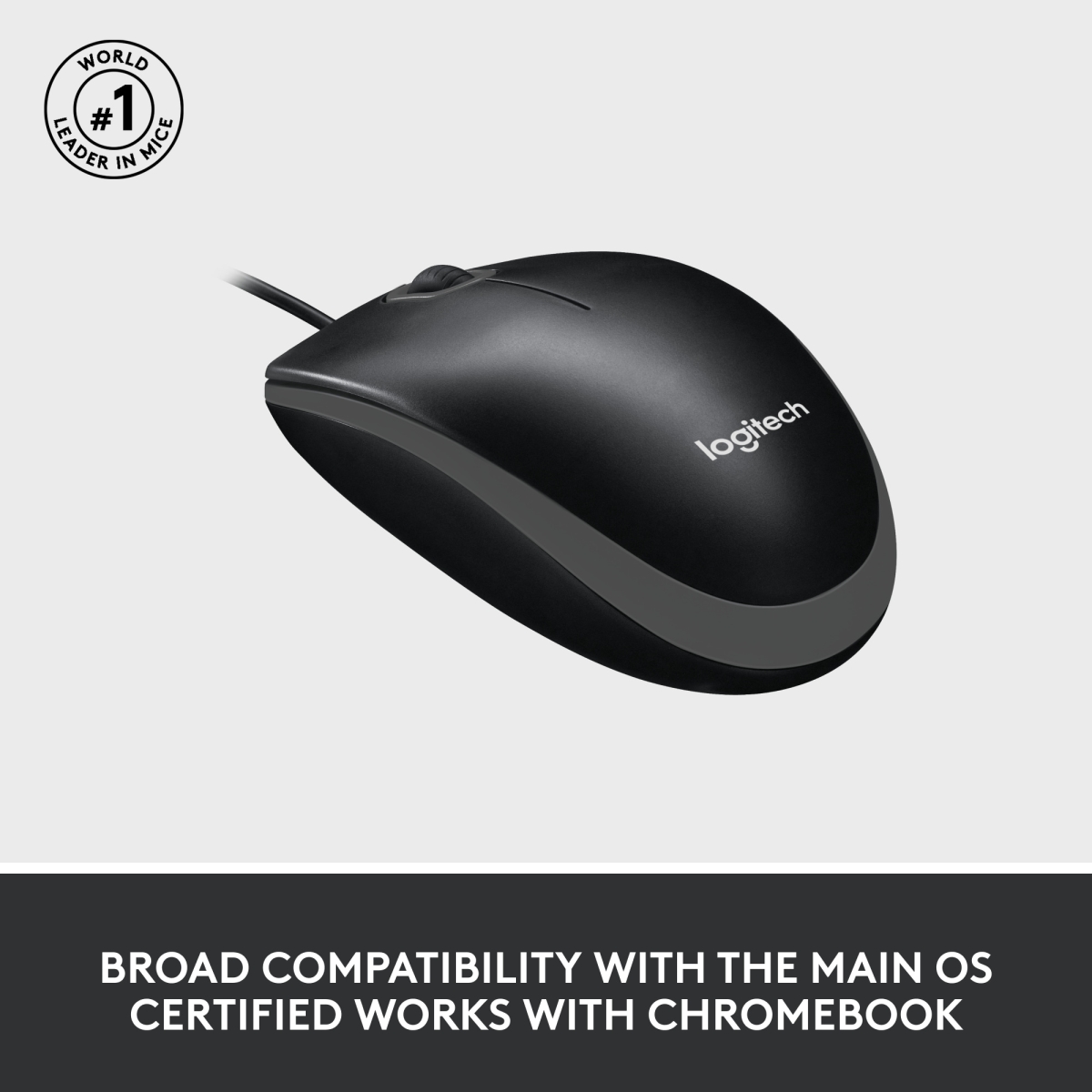 Logitech M100