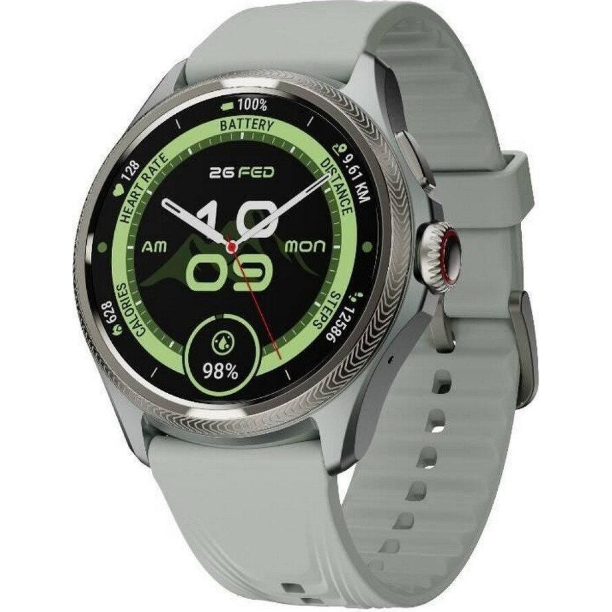 Mobvoi Smartwatch TicWatch Pro 5 Enduro (Grey)
