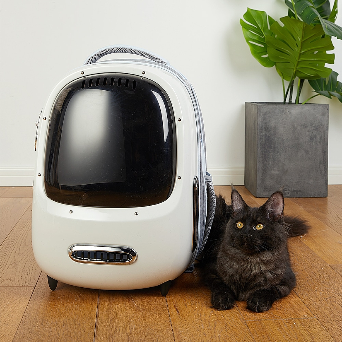 Petkit Breezy 2
