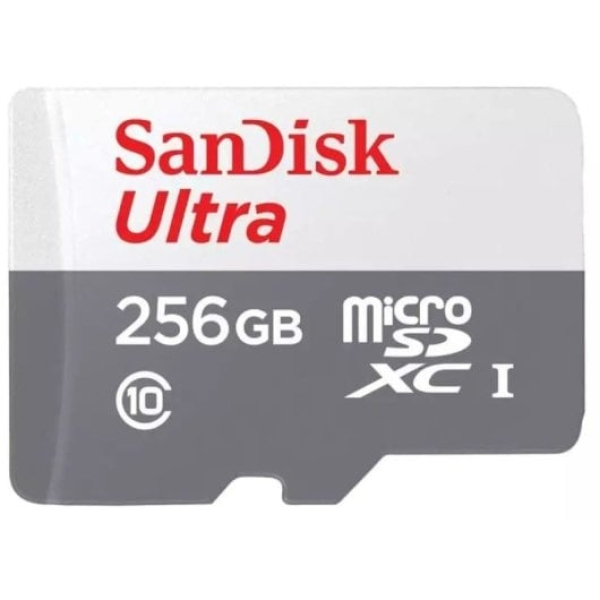 SanDisk Ultra microSDXC 256GB UHS-I Classe 10