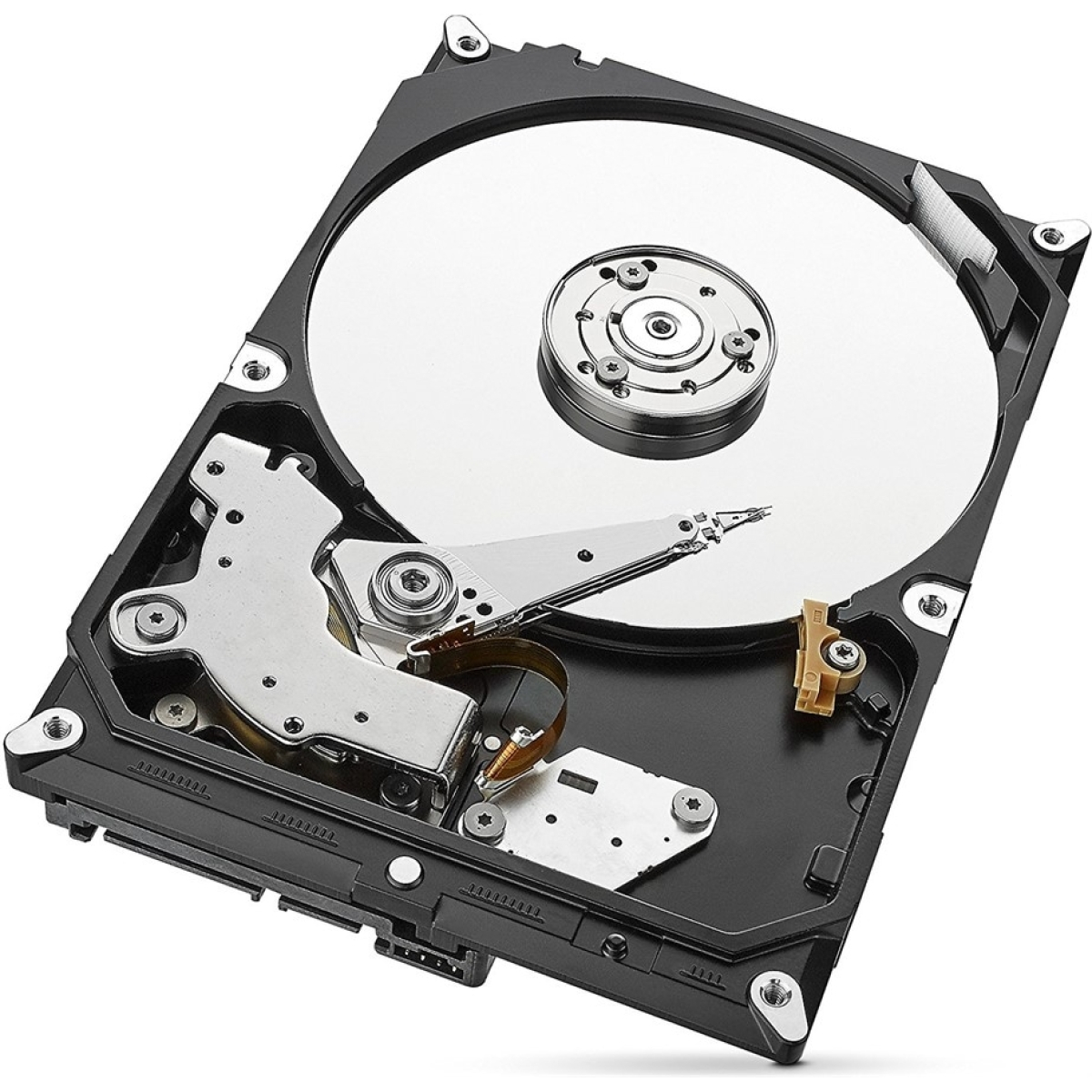Seagate SkyHawk