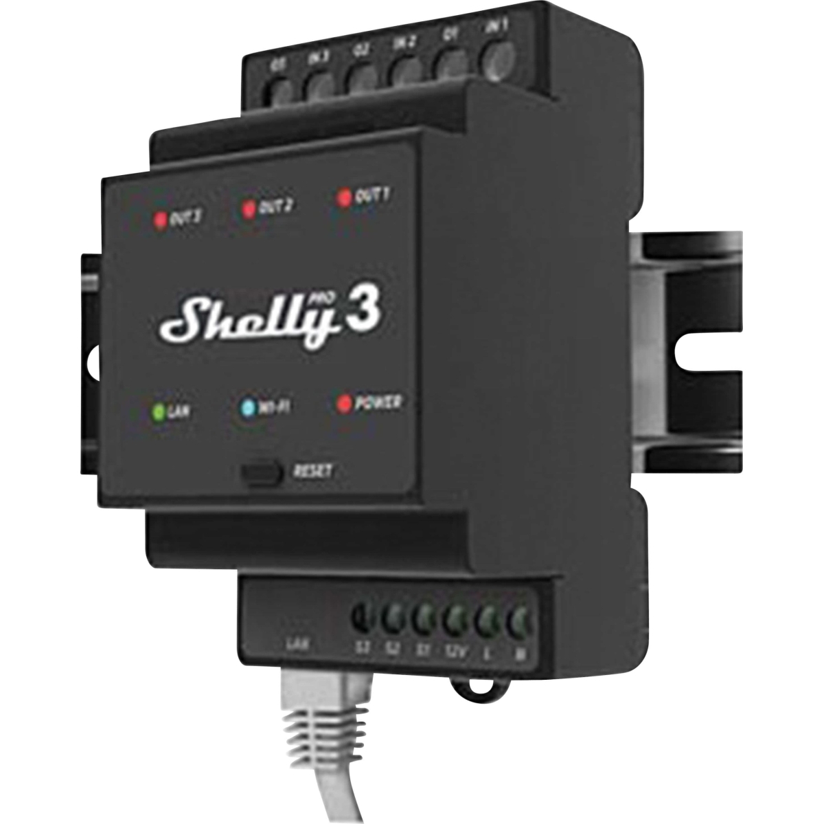 Shelly Per 3