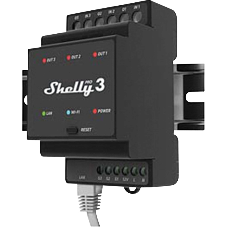 Shelly Per 3