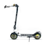 SmartGyro Z-ONE Trotinete Elétrica Certificada 10" 350W Cinzenta
