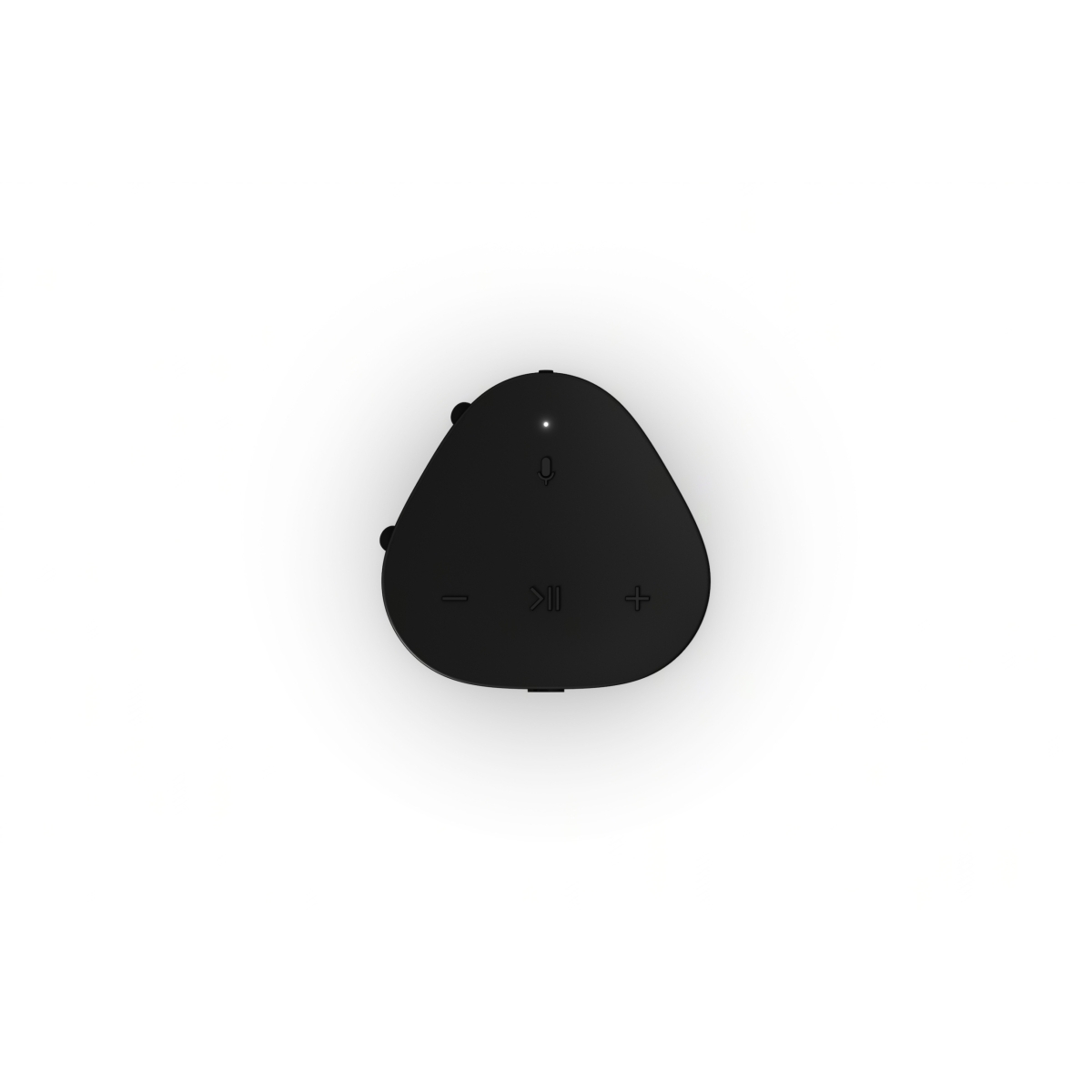 Sonos Roam 2