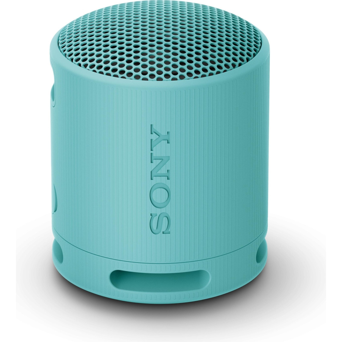 Sony SRS-XB100