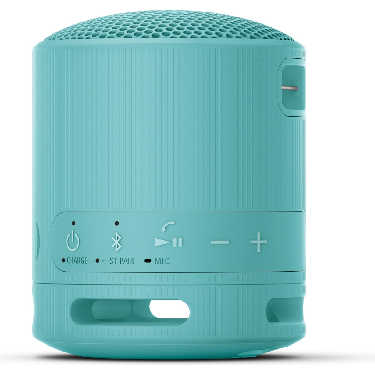 Sony SRS-XB100