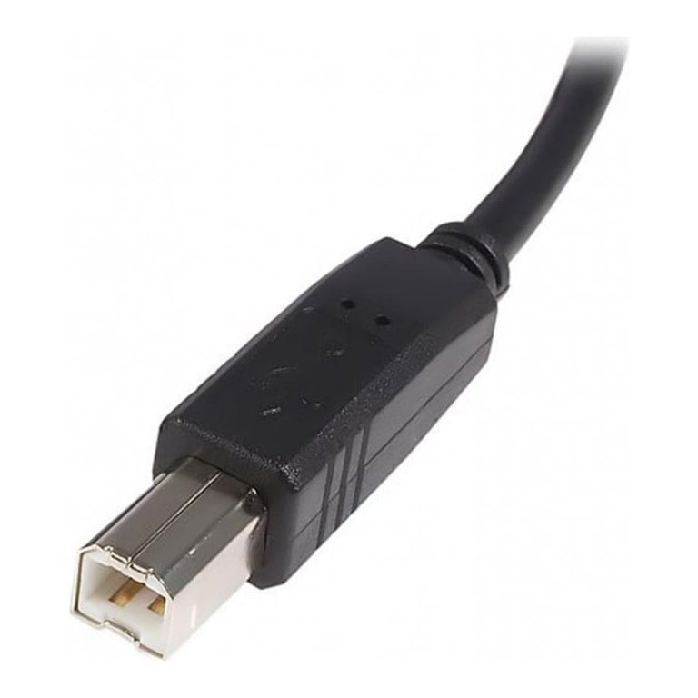StarTech USB A-Usb B