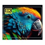 TV98 ATV Mini 8K H618 2GB/16GB Dual Wifi Android 14 Preto - Android TV