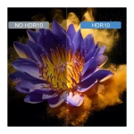 Transspeed 8K H618 4GB/32GB Dual Wifi Android 12 Preto - Android TV