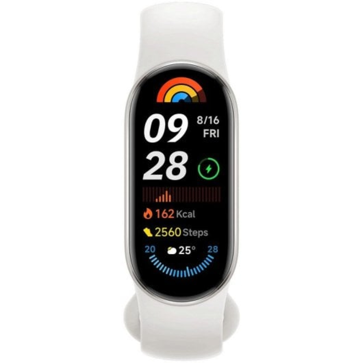 Xiaomi Smart Band 9 AMOLED Pulseira de Atividade Cinzenta