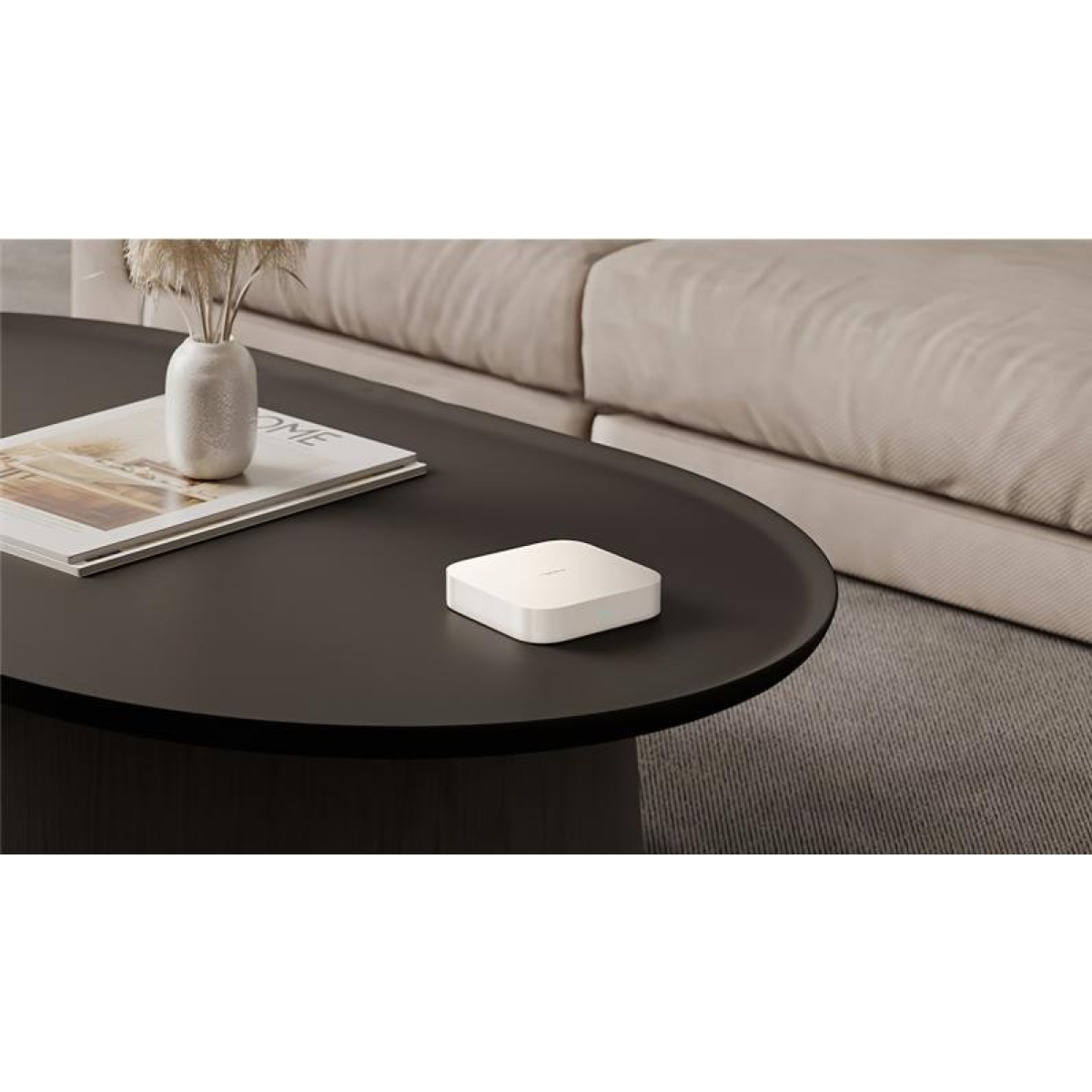 Xiaomi Smart Home Hub 2