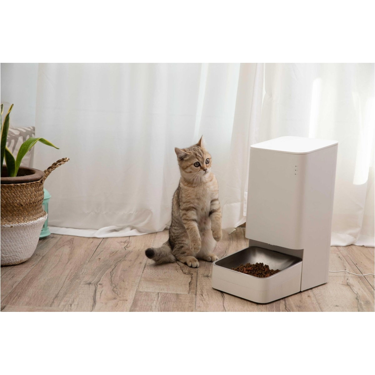 Xiaomi Smart Pet Food Feeder