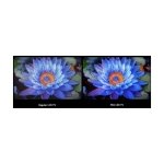 Xiaomi TV S 2025 55" QD Mini LED UltraHD 4K Google TV