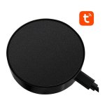 Avatto S16 WiFi Google Home / Alexa