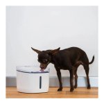 Bebedouro Petoneer Fresco Mini Plus Smart Pet Fountain