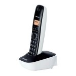 Panasonic KX-TG1611 Preto e Branco