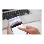 PetWant F11-C - Distribuidor automático de Alimentos para Animais de estimação