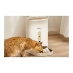 PetWant F11-C - Distribuidor automático de Alimentos para Animais de estimação